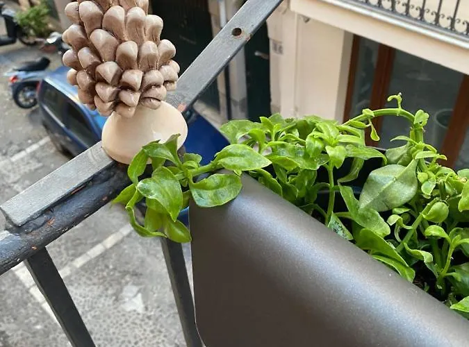 House Maranto Апартаменты Чефалу